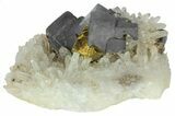 Galena, Chalcopyrite and Quartz Crystal Cluster - Bulgaria #62248-3